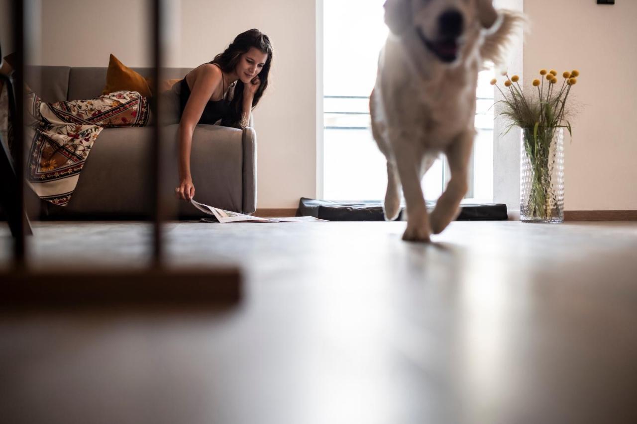 Sambucus Apartments -Premium Apartments For You And Your Dog Лана Экстерьер фото