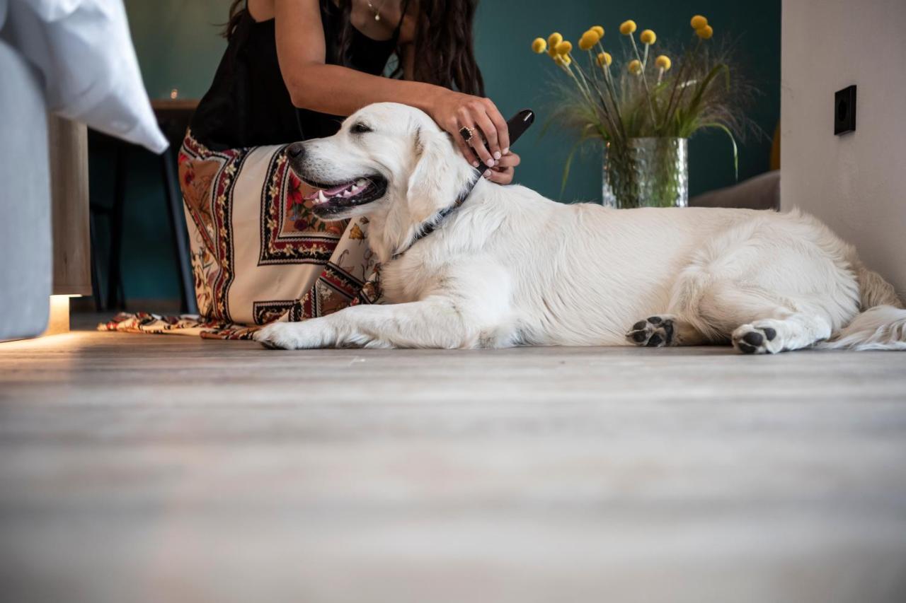 Sambucus Apartments -Premium Apartments For You And Your Dog Лана Экстерьер фото